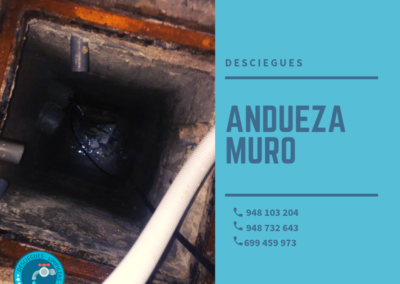 Desciegues ANDUEZA MURO